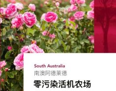 澳洲高端美妝品牌Jurlique茱莉蔻，成功入駐圣悅詩(shī)國(guó)際連鎖系統(tǒng)